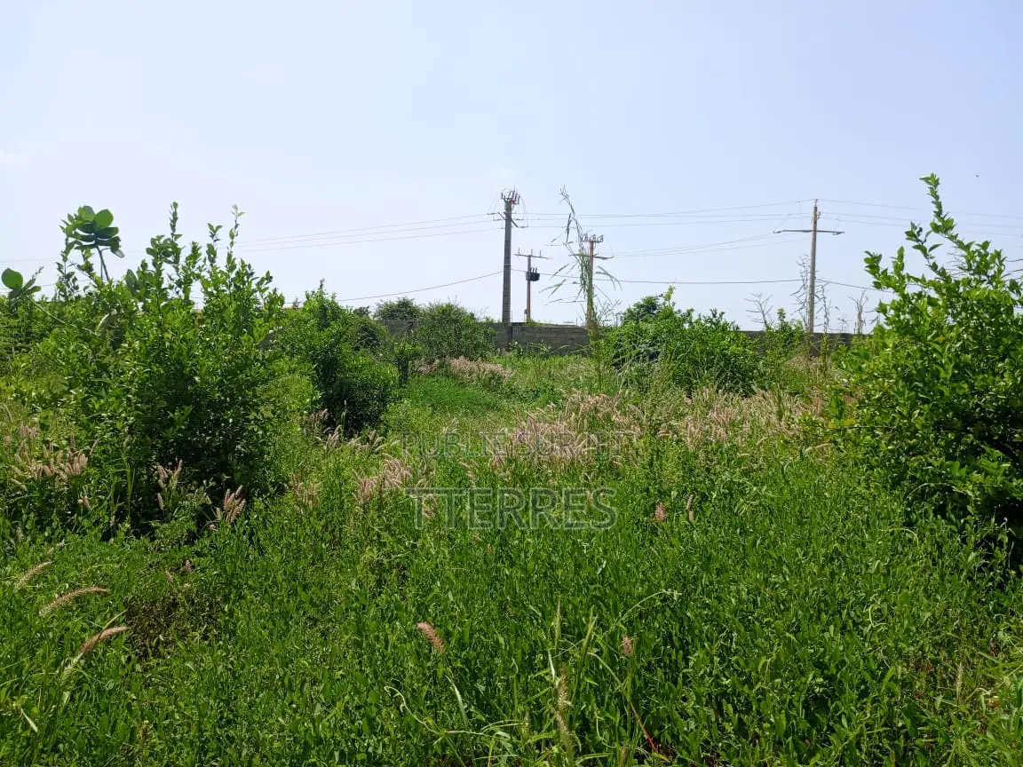 Bail De 1 Hectare À 200 M De La Route, Axe Diamniadio–Yenne