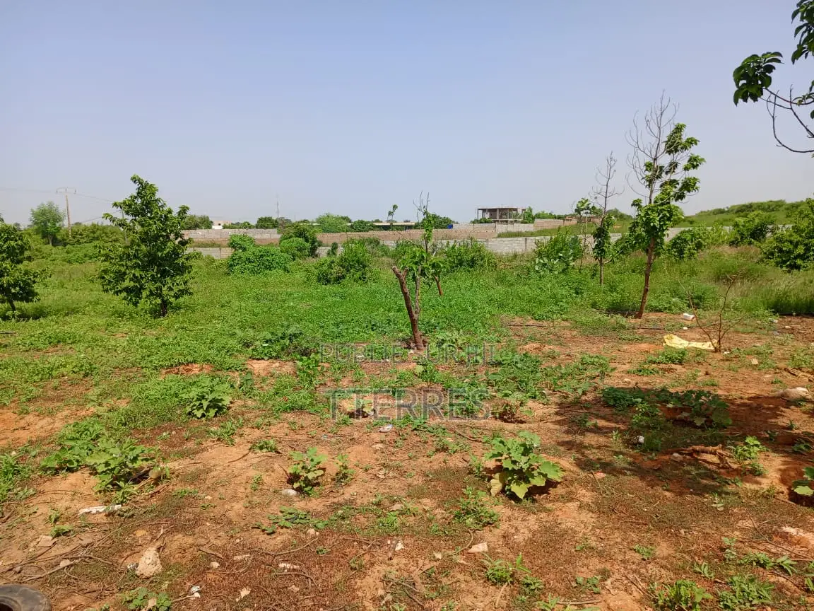 Bail De 1 Hectare À 200 M De La Route, Axe Diamniadio–Yenne