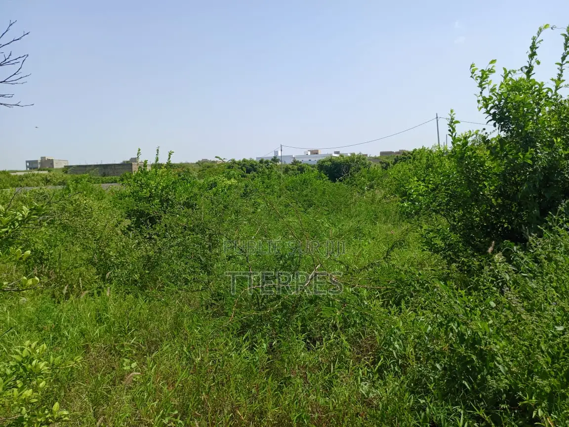 Bail De 1 Hectare À 200 M De La Route, Axe Diamniadio–Yenne
