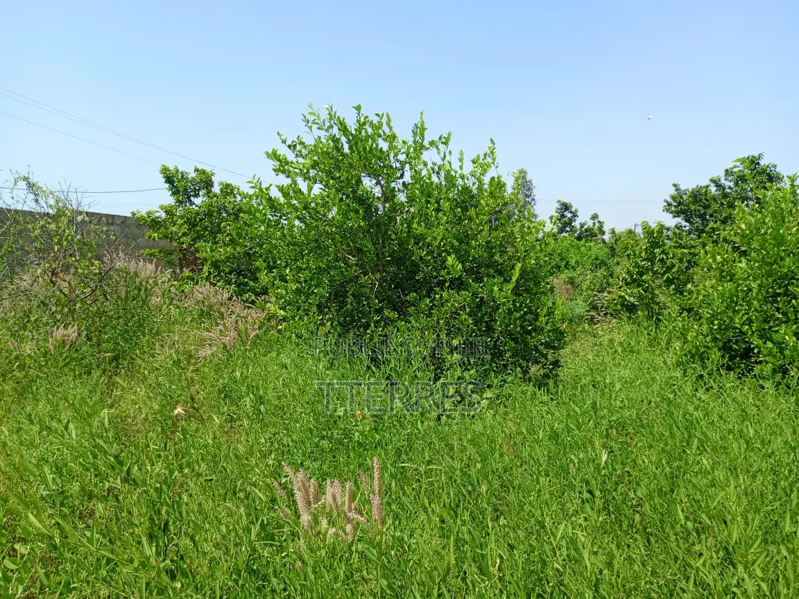 Bail De 1 Hectare À 200 M De La Route, Axe Diamniadio–Yenne