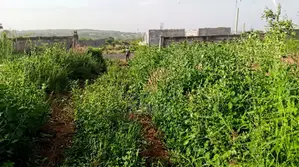 Terrain De 9 Hectares en Bordure De La RN1 Entre Diamniadio Et Mbour