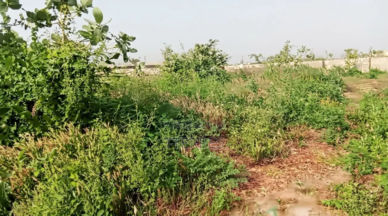 Terrain De 9 Hectares en Bordure De La RN1 Entre Diamniadio Et Mbour