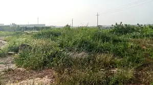 Terrain De 9 Hectares en Bordure De La RN1 Entre Diamniadio Et Mbour
