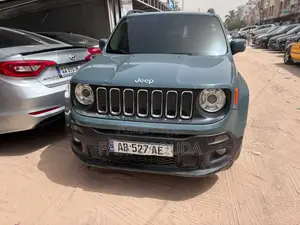 Jeep Renegade 2017 Vert