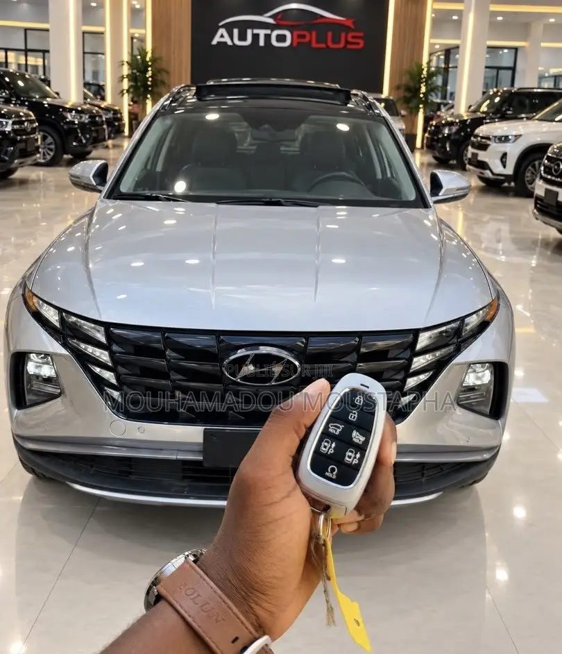 Hyundai Tucson Limited 2024 Gris