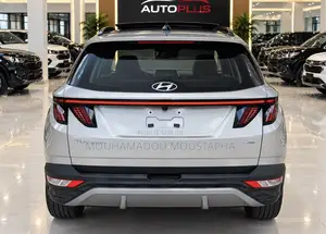 Hyundai Tucson Limited 2024 Gris