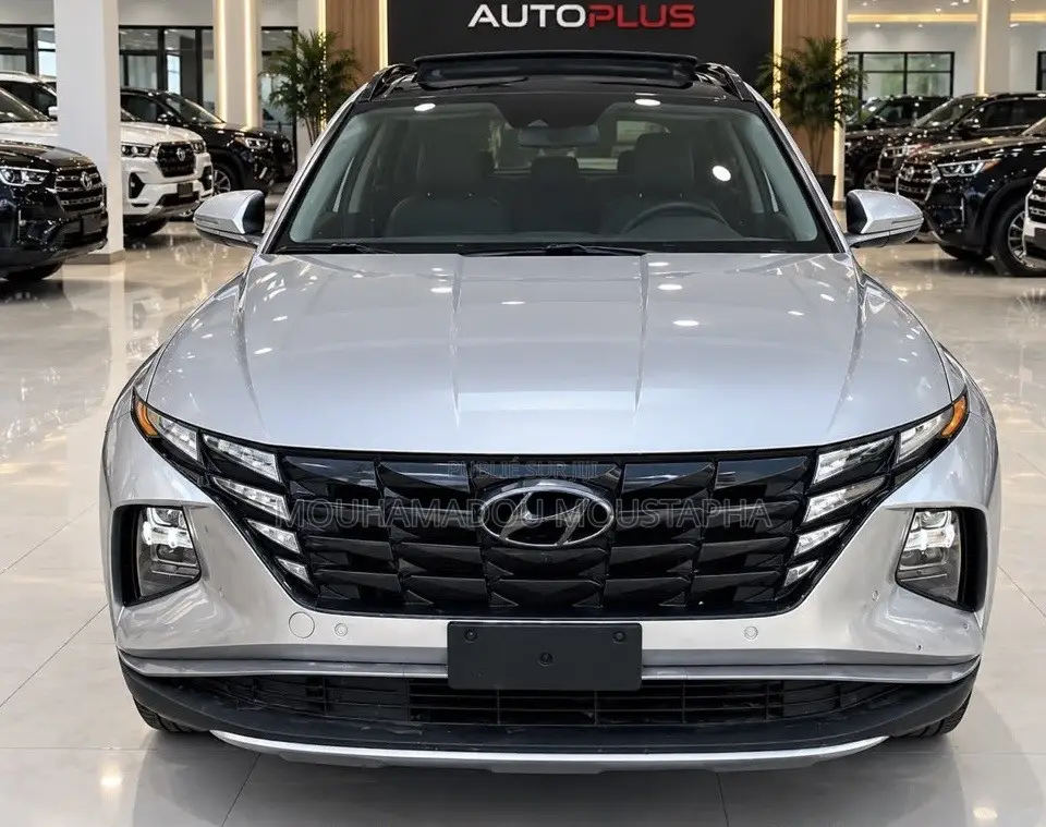 Hyundai Tucson Limited 2024 Gris