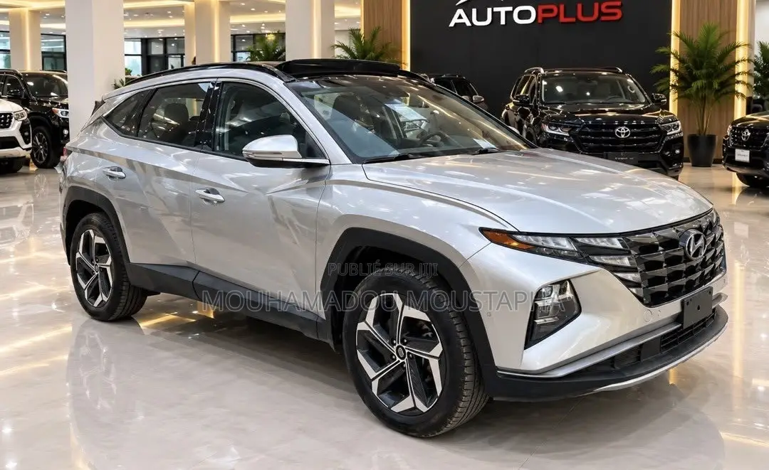 Hyundai Tucson Limited 2024 Gris
