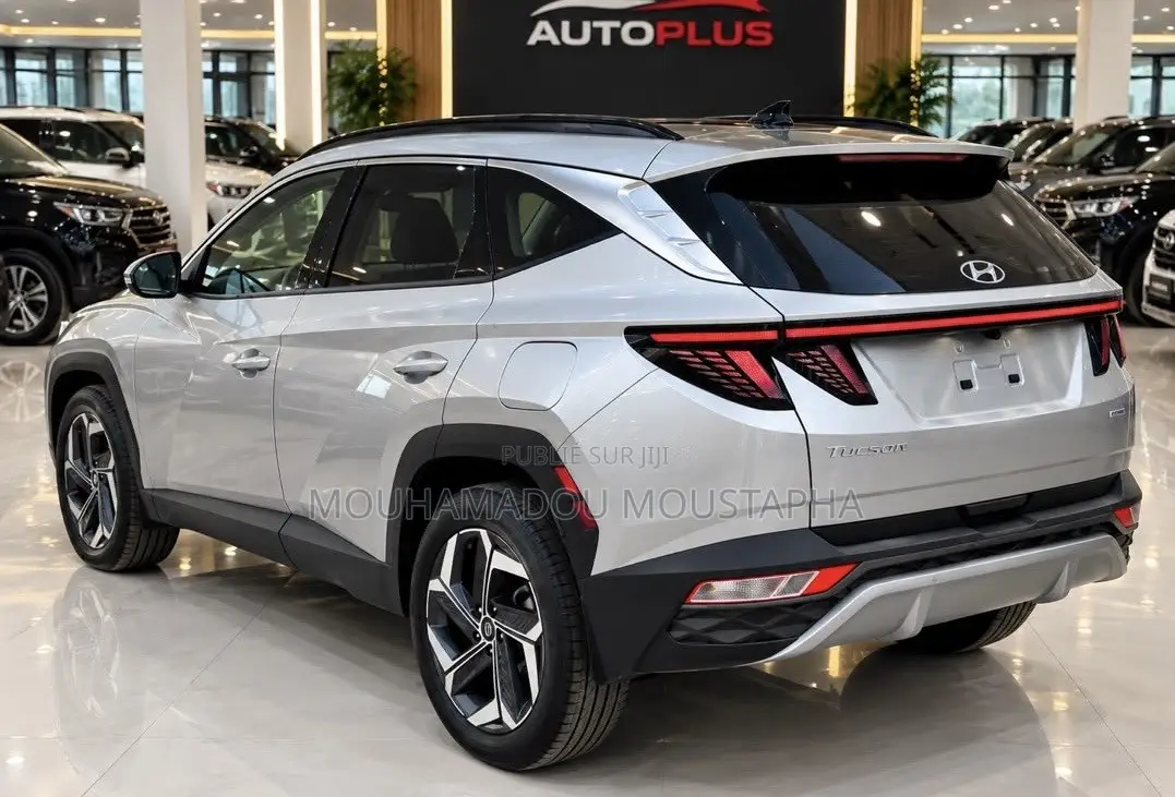 Hyundai Tucson Limited 2024 Gris