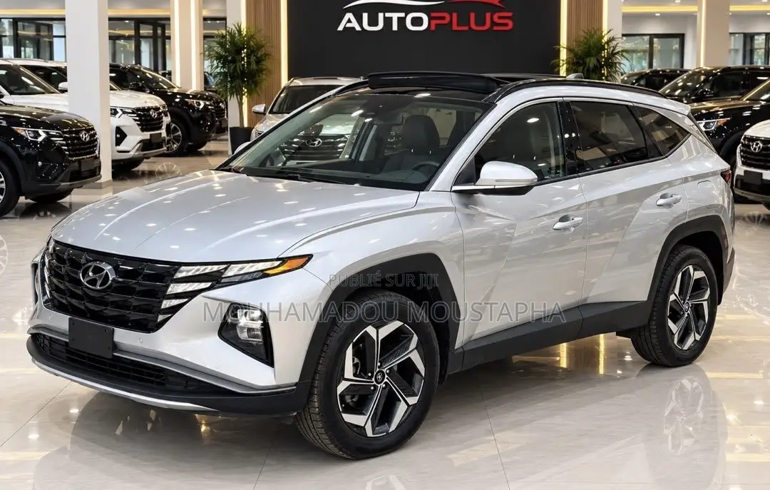 Hyundai Tucson Limited 2024 Gris