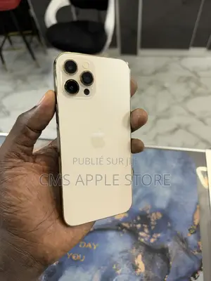Apple iPhone 12 Pro Max 256 GB