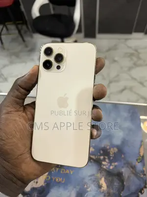Apple iPhone 12 Pro Max 256 GB