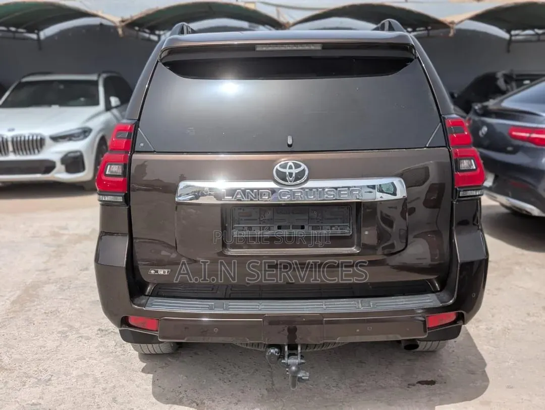 Toyota Land Cruiser Prado 2019 Marron