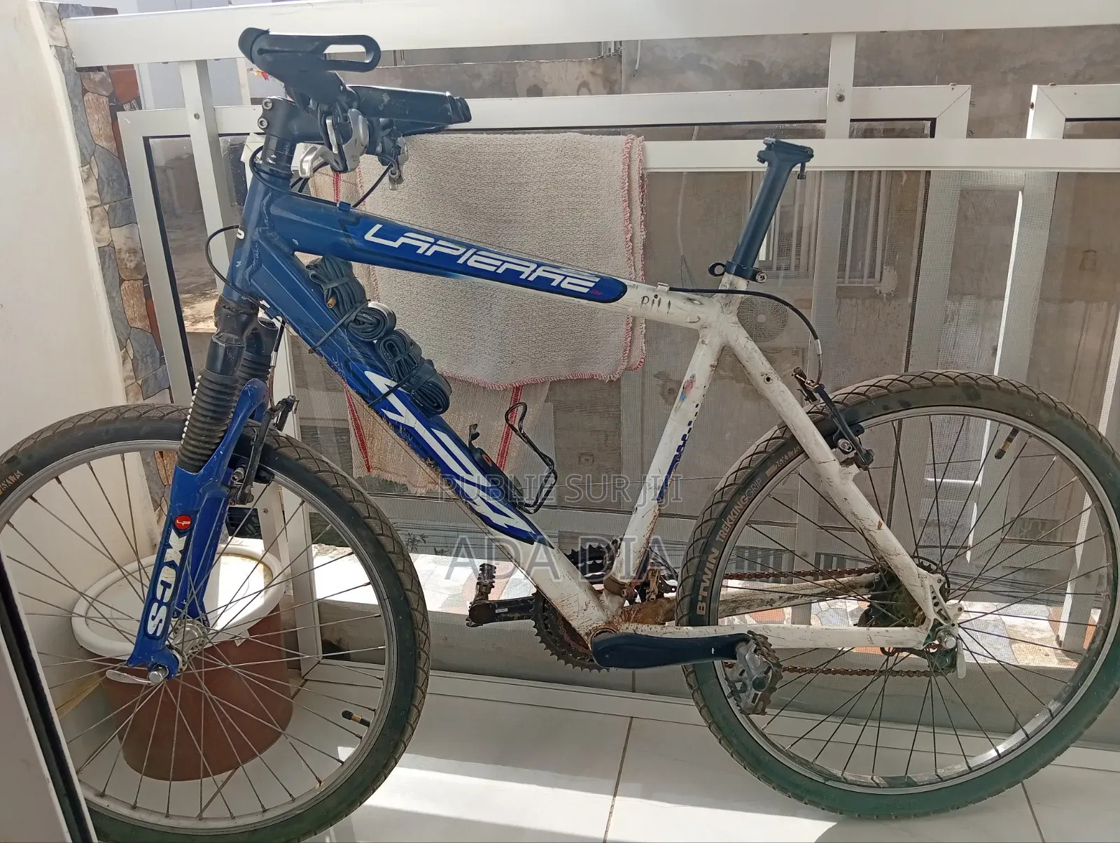 Vélo en Bon État