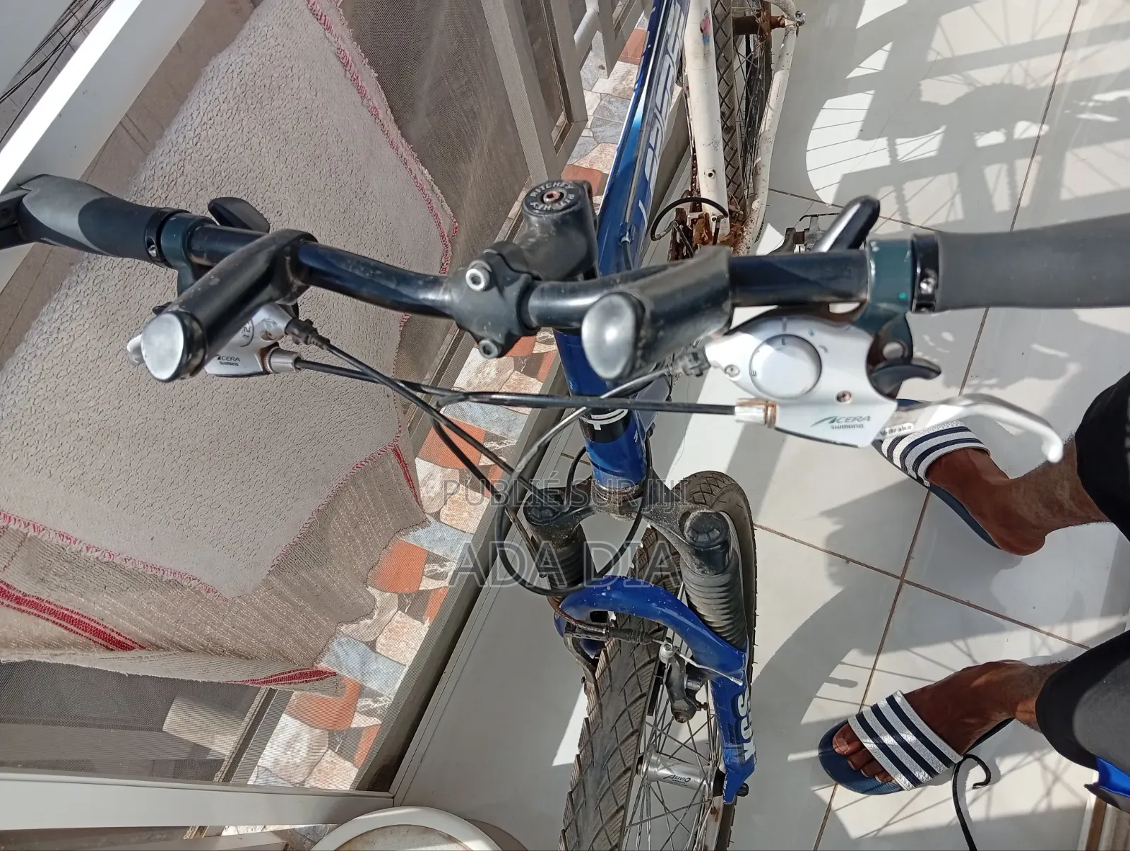 Vélo en Bon État