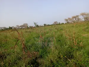 Terre Agricole De 7622 M2 Vers Méouane - Tivaouane