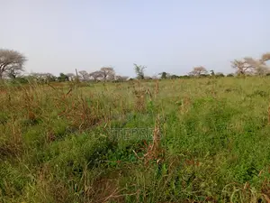 Terre Agricole De 7622 M2 Vers Méouane - Tivaouane