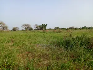 Terre Agricole De 7622 M2 Vers Méouane - Tivaouane