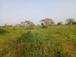 Terre Agricole De 7622 M2 Vers Méouane - Tivaouane