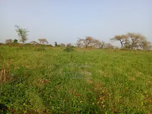 Terre Agricole De 7622 M2 Vers Méouane - Tivaouane