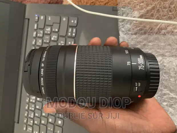 Objectif Canon EF 75-300mm F/4-5.6 – Zoom D’occasion Pour Reflex Canon