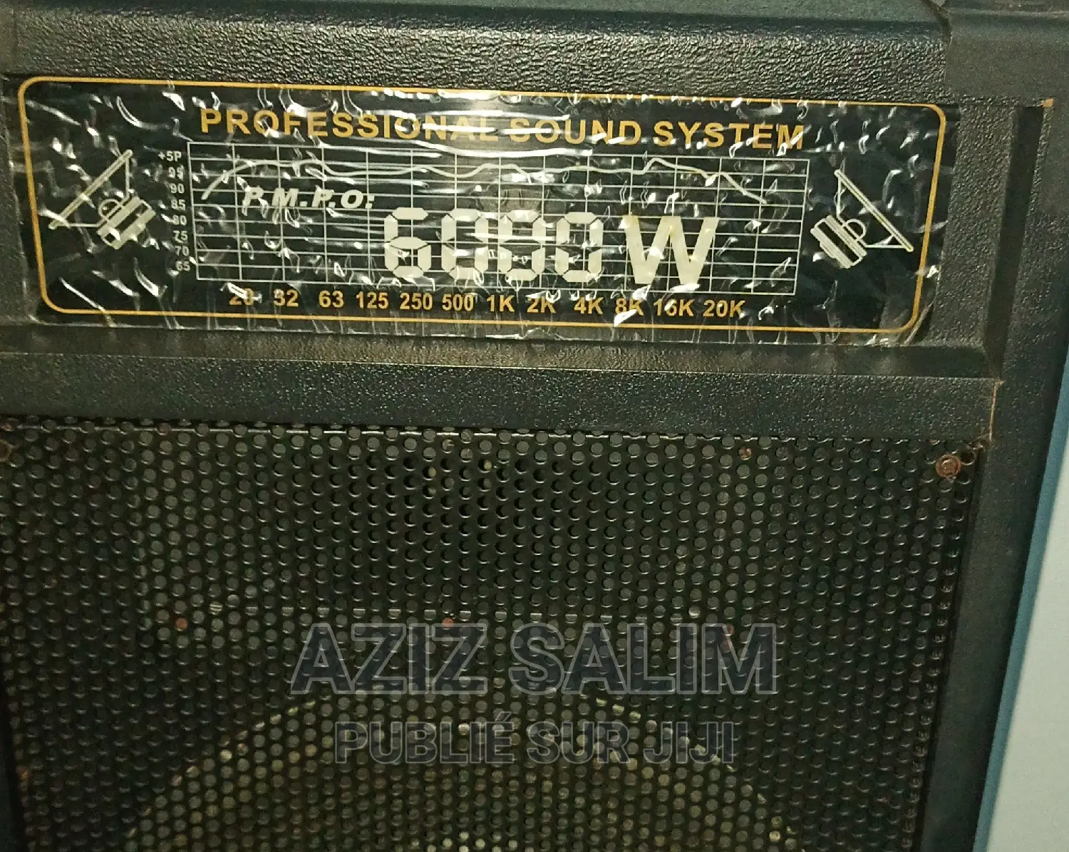 Ensemble Haut Parleur Amplifier