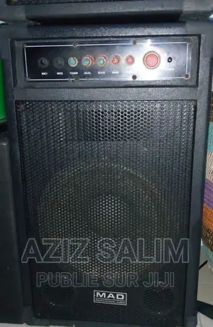 Ensemble Haut Parleur Amplifier