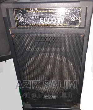 Ensemble Haut Parleur Amplifier