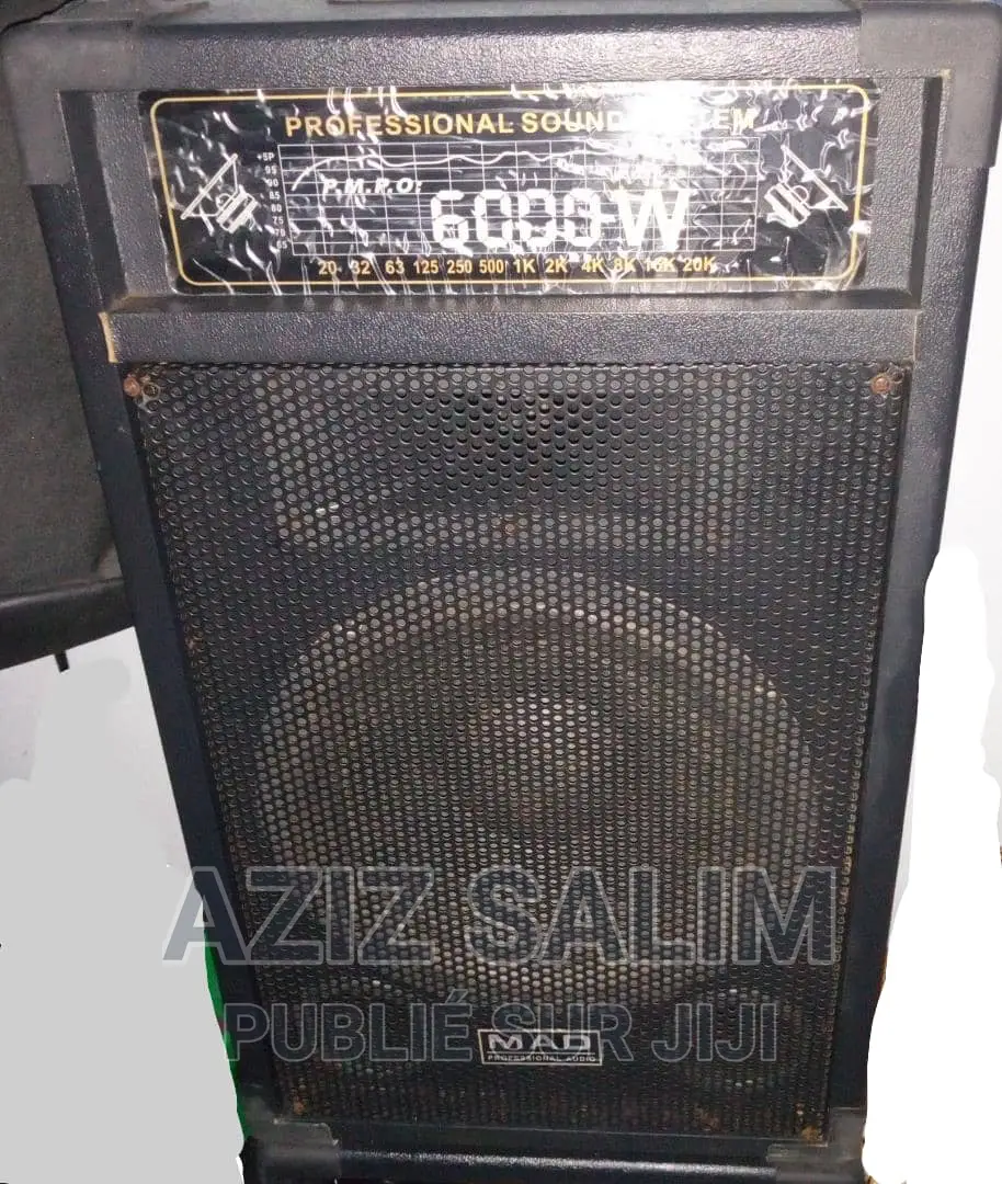 Ensemble Haut Parleur Amplifier