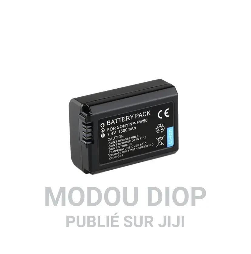 Batterie Rechargeable Sony A7
