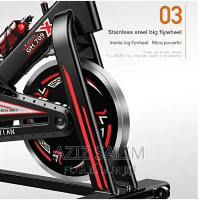 Vélo d'Exercice Professionnel