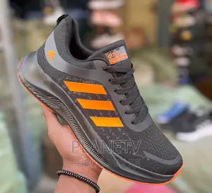 Chaussures Adidas Très Jolie Disponible TDS