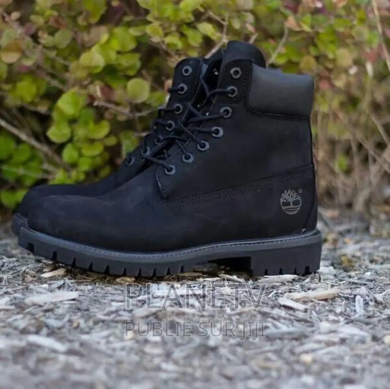 Timberland Original Disponible TDS