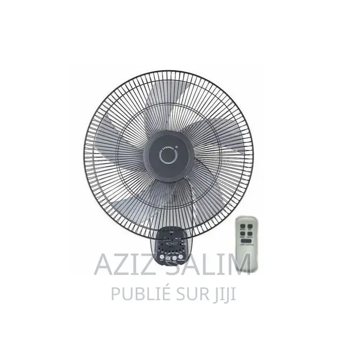 Ventilateur Murale