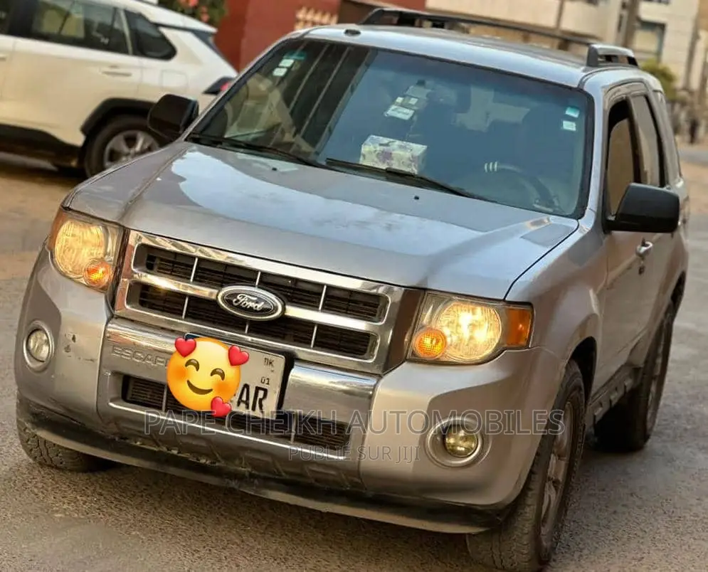 Ford Escape 2012 Gris