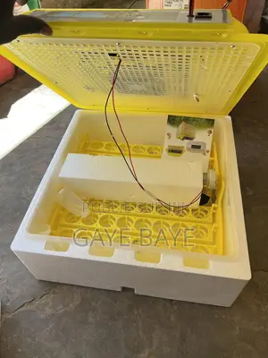 Couveuse Électrique Et Solaire