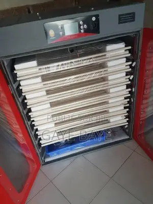 Incubateur Électrique