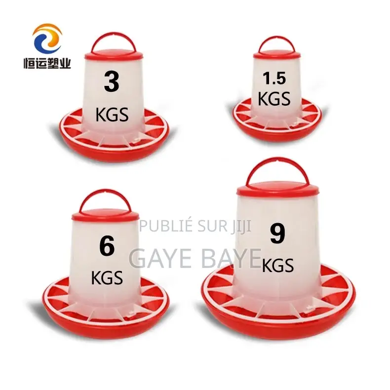 Mangeoire Anti Gaspillage