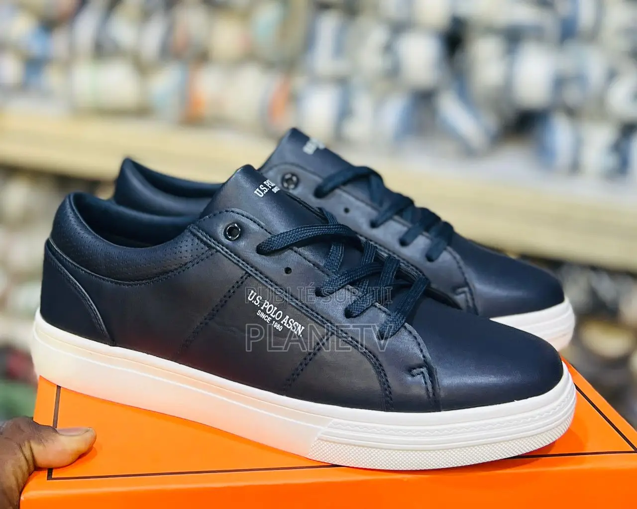 Chaussures Polo Originale Disponible WST