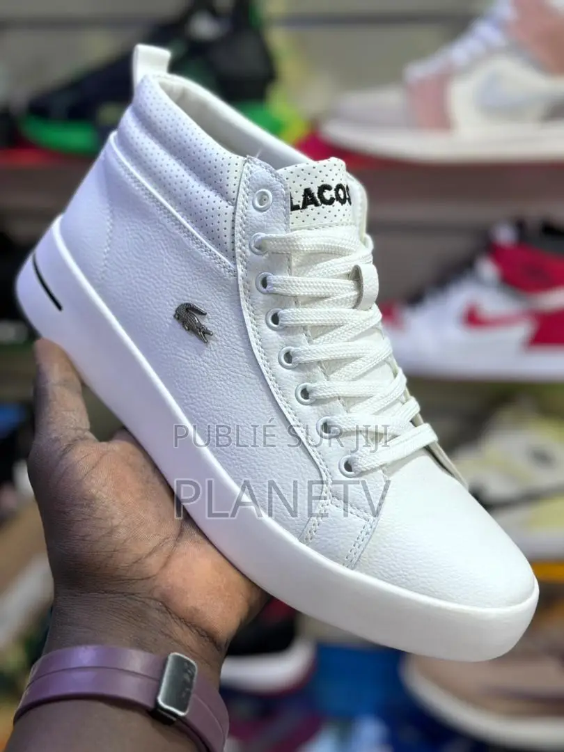 Lacoste Montante Original En Cuir Disponible TDS