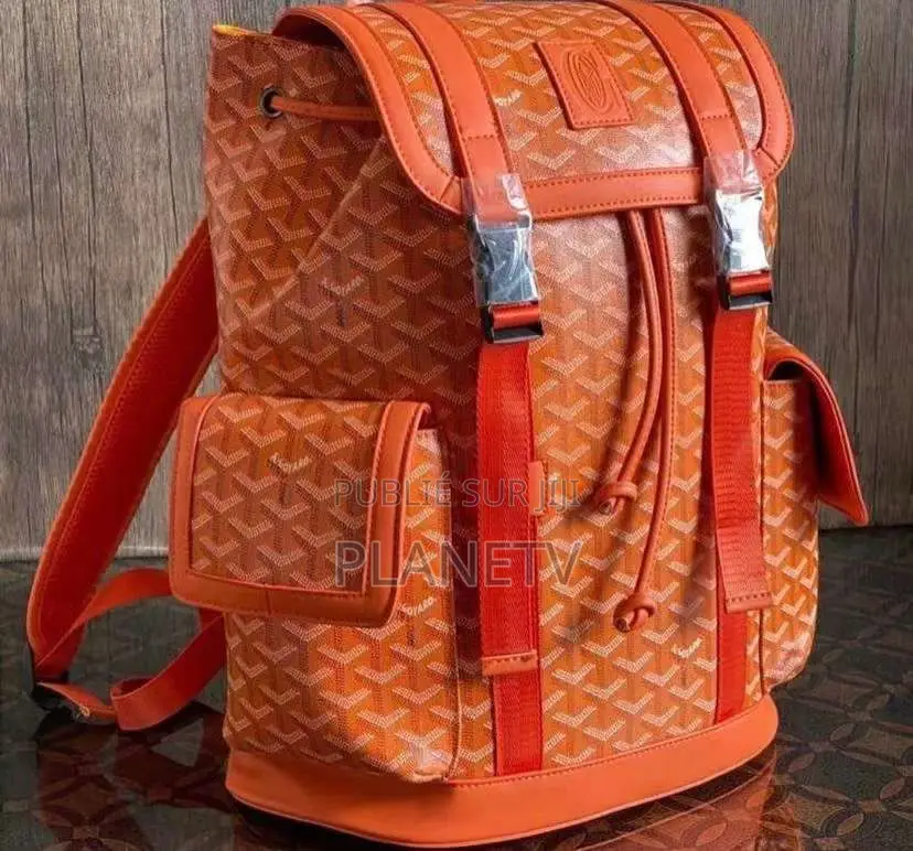 Sac a Dos Goyard Cuir Originale Disponible Nf