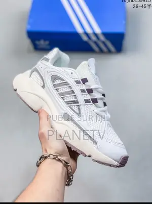 Adidas Originals Disponible Of