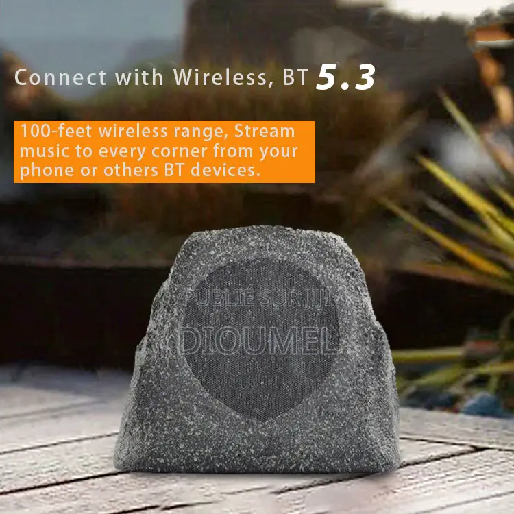 Ion Haut Parleur Bluetooth