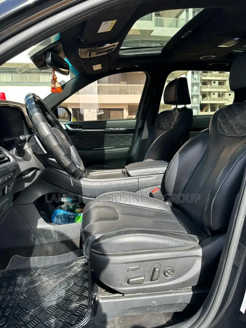 Hyundai Palisade 2020 Noir