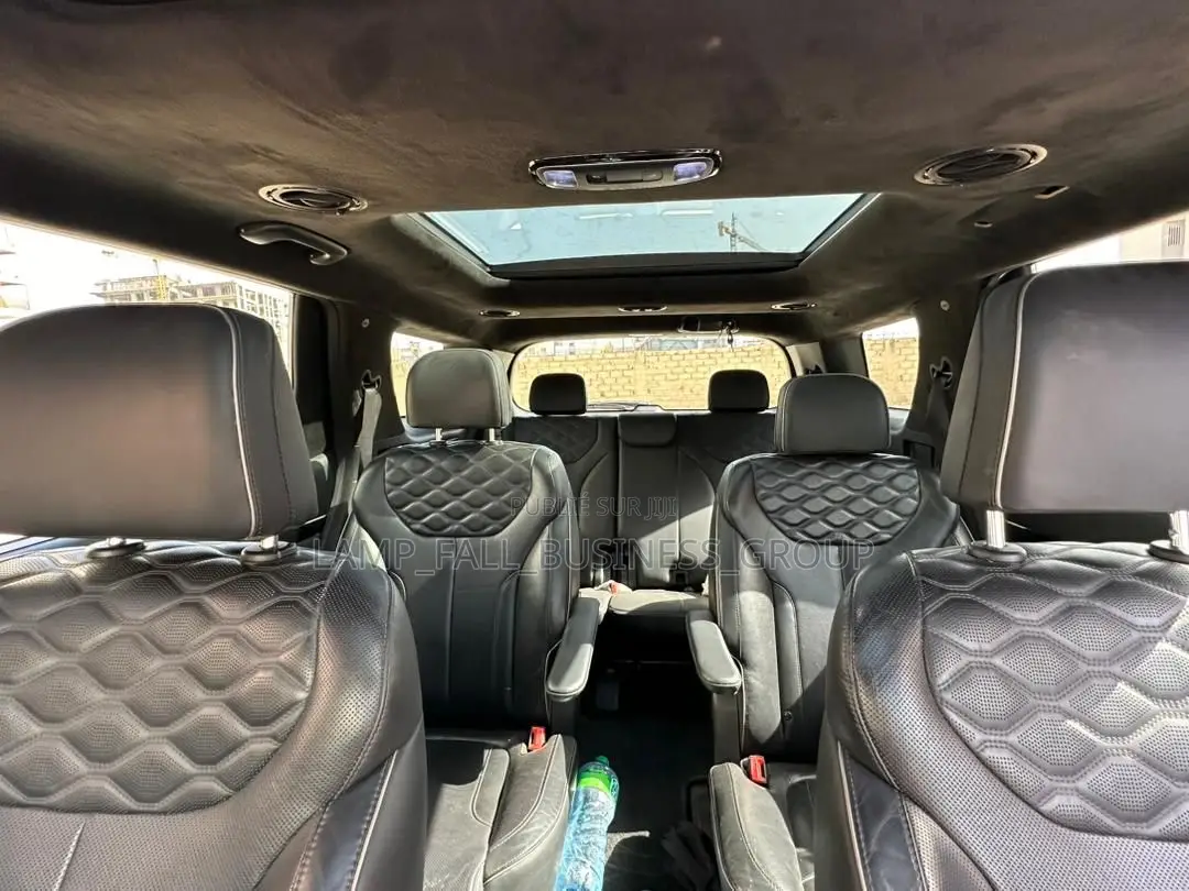 Hyundai Palisade 2020 Noir