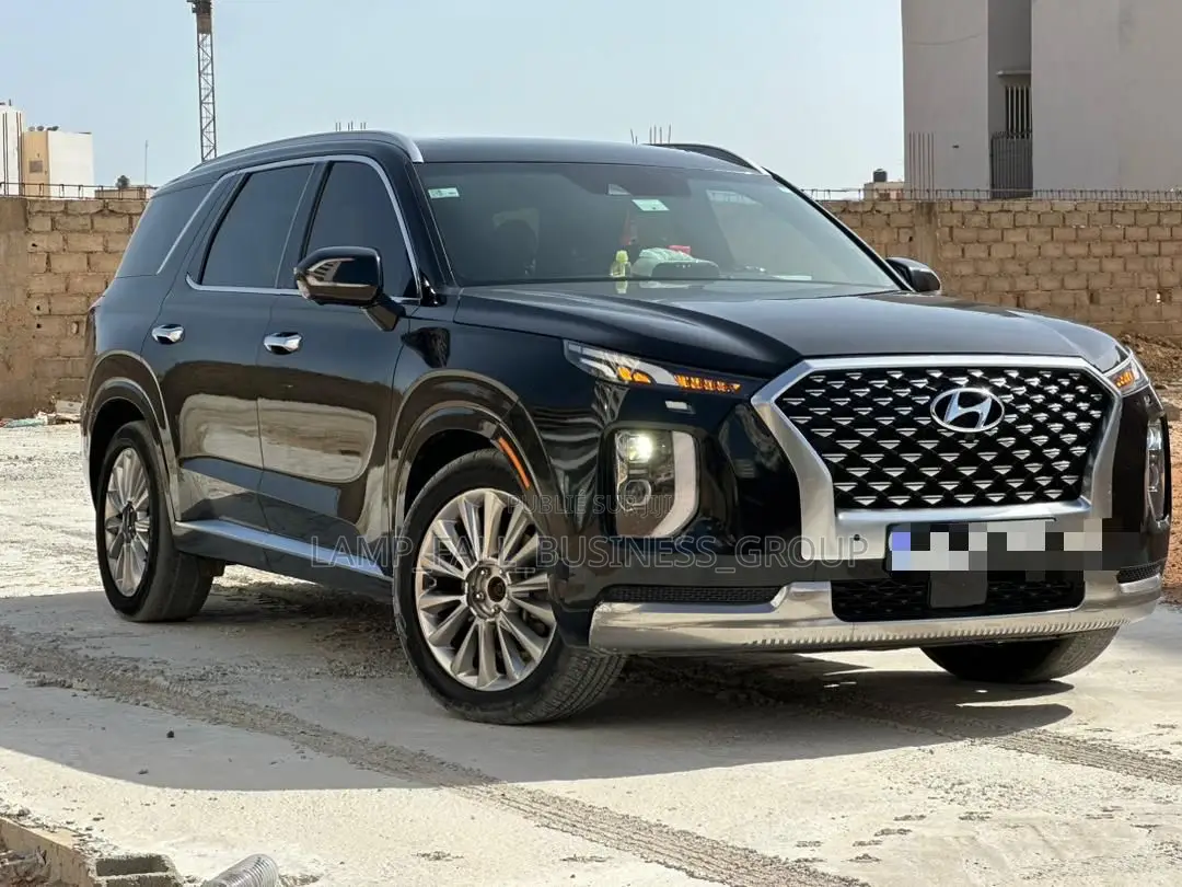 Hyundai Palisade 2020 Noir