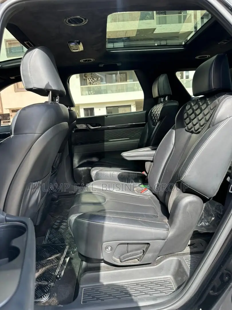 Hyundai Palisade 2020 Noir