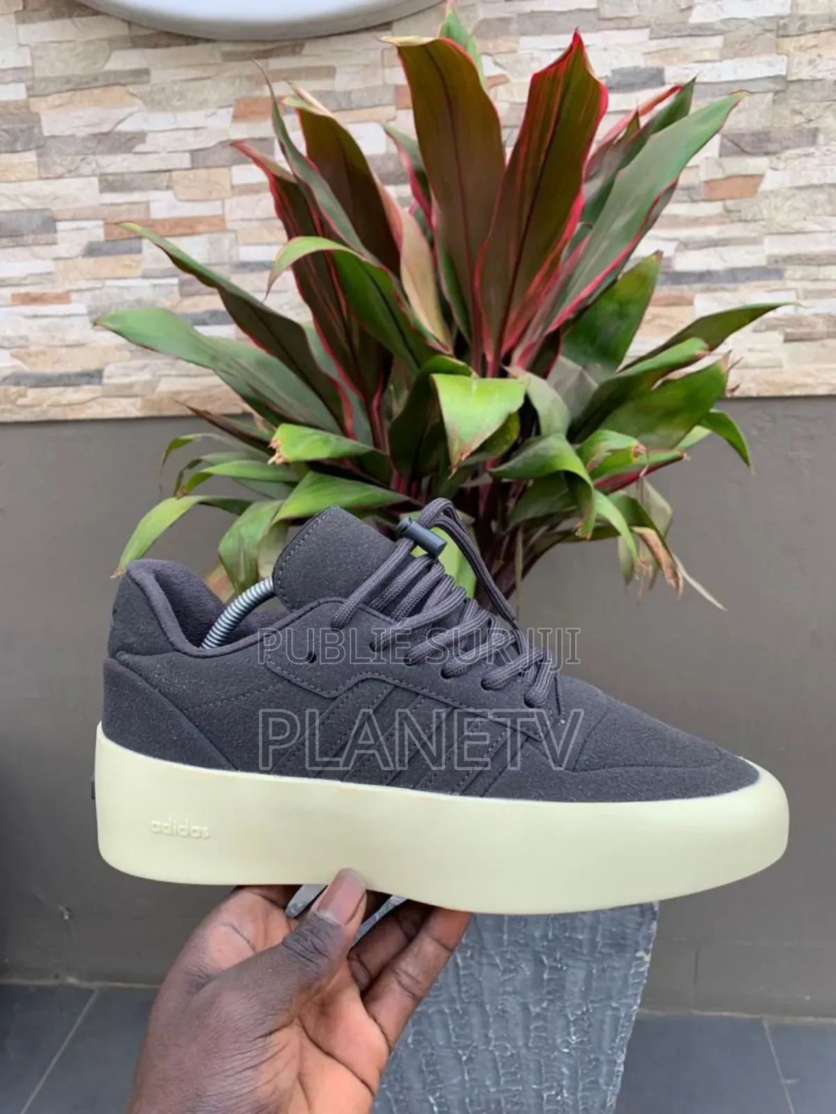 Adidas Originals Disponible Gf TDS