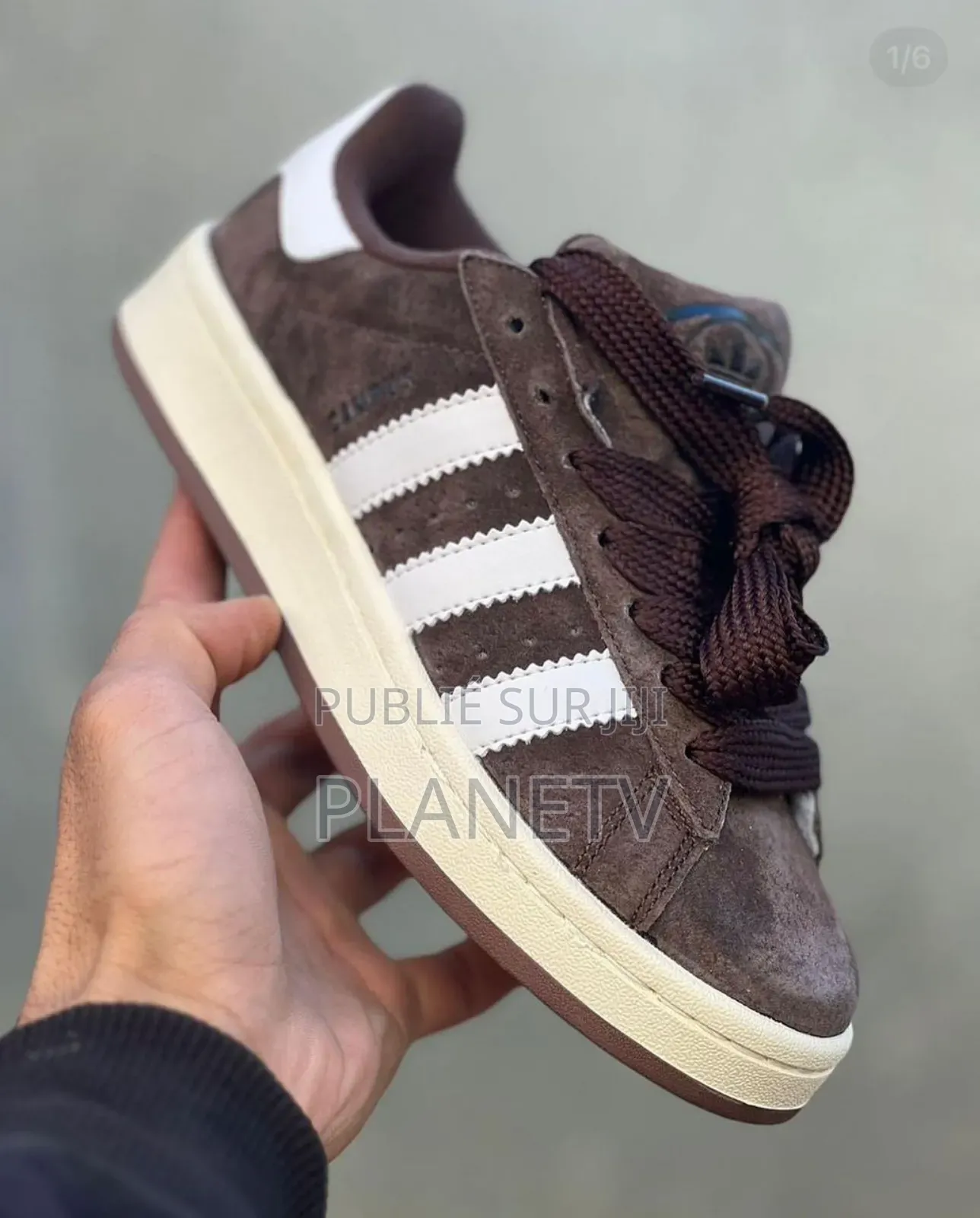 Campus Adidas Originals Disponible Fs Of