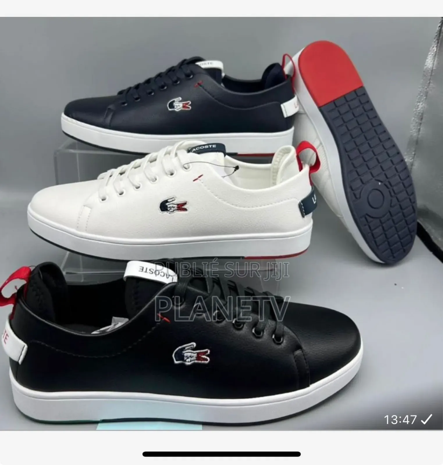 Lacoste Original Disponible Gf